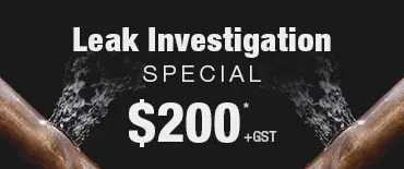 Leak Investigation Discount Papakura